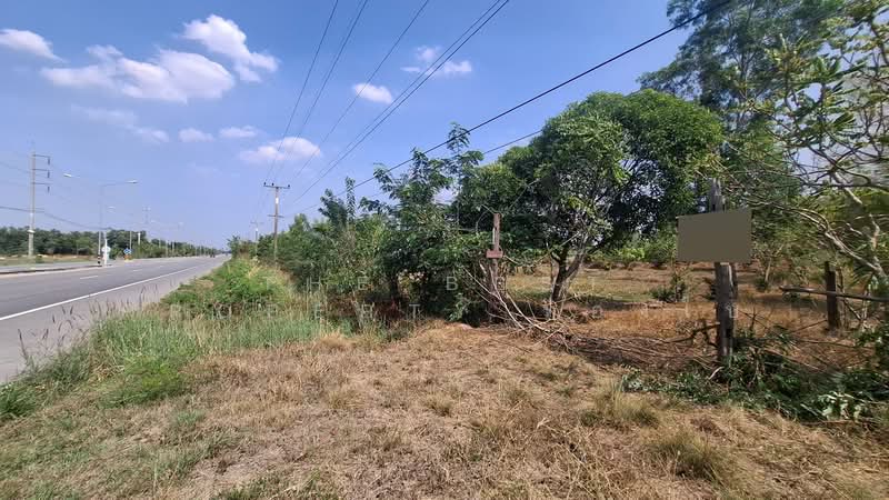 ขาย - ที่ดินวาปีปทุม มหาสารคาม, มหาสารคาม