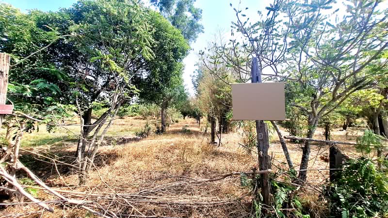 ที่ดินวาปีปทุม มหาสารคาม, Maha Sarakham, Sua Kok, Wapi Pathum, Maha Sarakham, , 5,584 sqm, Land For Sale, by The Best Property ทองใบ, 500190814 - DDproperty.com