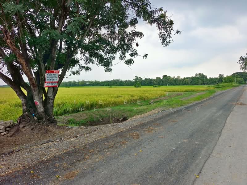 ที่ดินหนองเสือ ปทุมธานี, ปทุมธานี, บึงชำอ้อ, หนองเสือ, ปทุมธานี, 400 ตร.ม., ที่ดิน ขาย, โดย The Best Property จอย, 500190842 - DDproperty.com