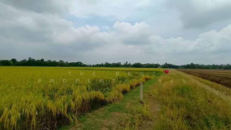 ที่ดินหนองเสือ ปทุมธานี, ปทุมธานี, บึงชำอ้อ, หนองเสือ, ปทุมธานี, 400 ตร.ม., ที่ดิน ขาย, โดย The Best Property จอย, 500190842 - DDproperty.com