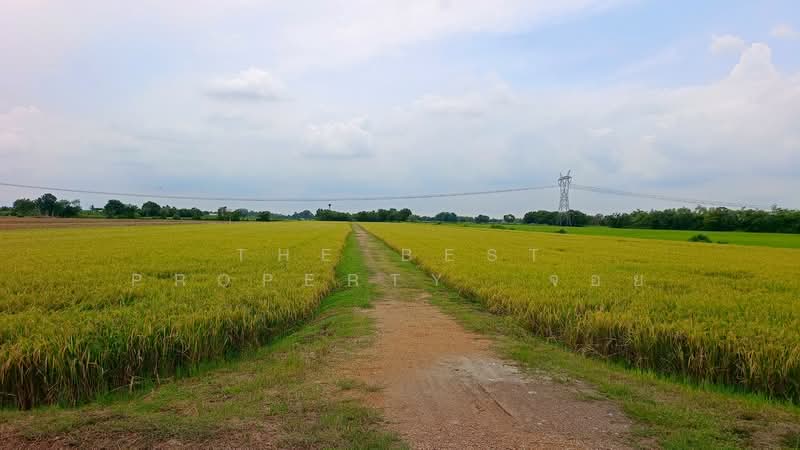 ที่ดินหนองเสือ ปทุมธานี, ปทุมธานี, บึงชำอ้อ, หนองเสือ, ปทุมธานี, 400 ตร.ม., ที่ดิน ขาย, โดย The Best Property จอย, 500190842 - DDproperty.com