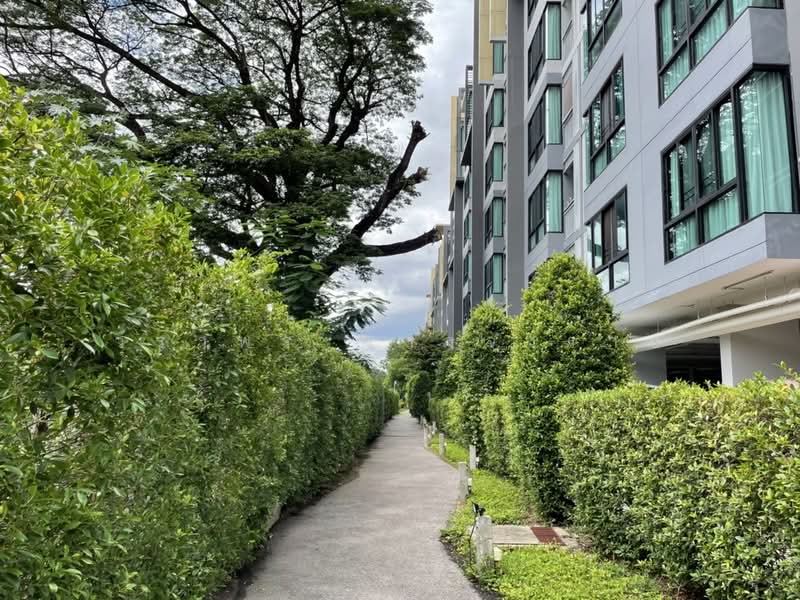 The Treasure Condominium by My Hip : เดอะ เทรเชอร์ บาย มาย ฮิป, เชียงใหม่, 96 ถนนเชียงใหม่บิสสิเนสพาร์ค (CBP) ซอย 6, หนองป่าครั่ง, เมืองเชียงใหม่, เชียงใหม่, 52 ตร.ม., คอนโด ขาย, โดย วราพร ตางจงราช, 500190886 - DDproperty.com