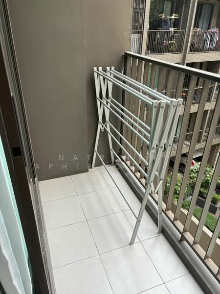 The Tree Sukhumvit 64, Bangkok, Soi Sukhumvit 64, Bang Chak, Phra Khanong, Bangkok, 1 Bedroom, 34 sqm, Condo For Rent, by Natrinee Aphirachatanon, 500190919 - DDproperty.com