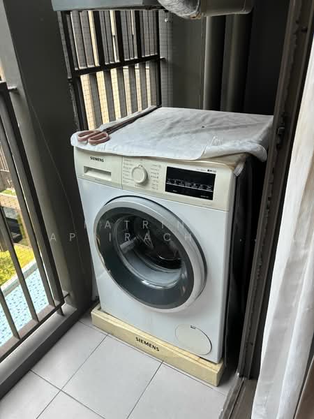 The Tree Sukhumvit 64, Bangkok, Soi Sukhumvit 64, Bang Chak, Phra Khanong, Bangkok, 1 Bedroom, 34 sqm, Condo For Rent, by Natrinee Aphirachatanon, 500190919 - DDproperty.com