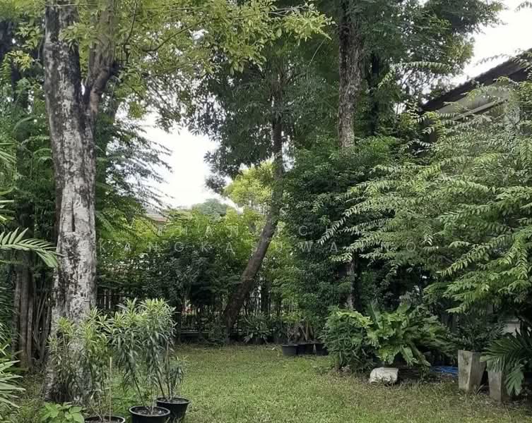 Sammakon Ramkhamhaeng : สัมมากร รามคำแหง, กรุงเทพ, ถนนรามคำแหง, สะพานสูง, สะพานสูง, กรุงเทพ, 250 ตร.ม., บ้านเดี่ยว ให้เช่า, โดย Thanitcha Kangkasuwanno, 500190947 - DDproperty.com