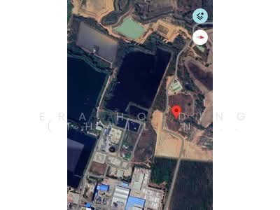 ขาย - ผังสีม่วง, ปราจีนบุรี