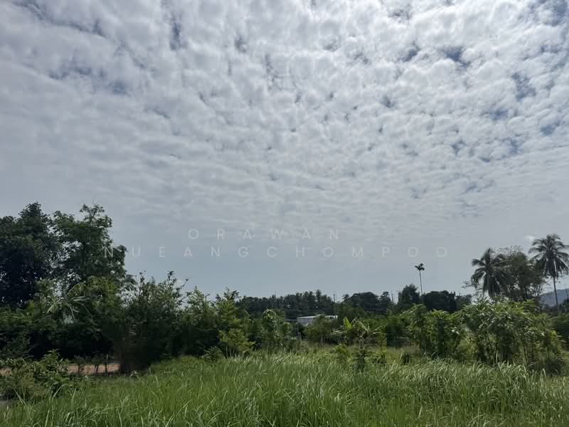Land for Sale Paklok, Phuket, Pa Khlok, Thalang, Phuket, , 592 sqm, Land For Sale, by Orawan​ Nueangchompoo, 500191043 - DDproperty.com