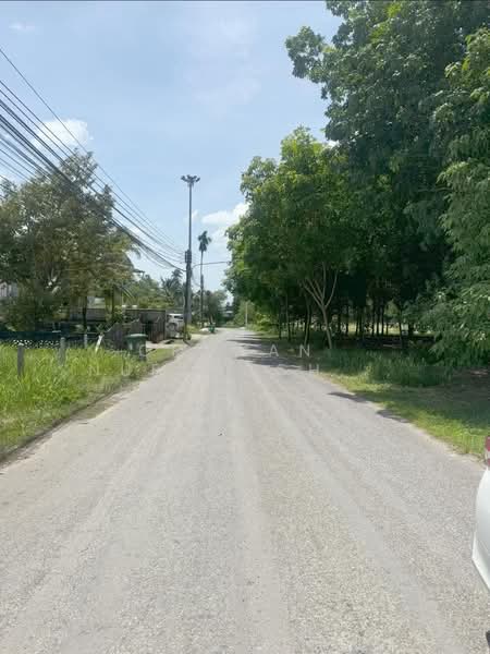 Land for Sale Paklok, Phuket, Pa Khlok, Thalang, Phuket, , 592 sqm, Land For Sale, by Orawan​ Nueangchompoo, 500191043 - DDproperty.com