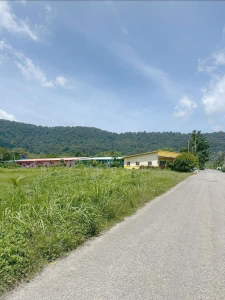 ขายที่ดินป่าคลอก, ภูเก็ต, ป่าคลอก, ถลาง, ภูเก็ต, 592 ตร.ม., ที่ดิน ขาย, โดย Orawan​ Nueangchompoo, 500191043 - DDproperty.com