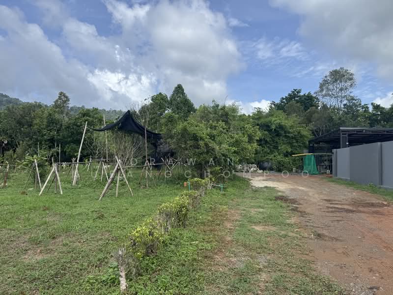 Land for Sale Paklok, Phuket, Pa Khlok, Thalang, Phuket, , 592 sqm, Land For Sale, by Orawan Nueangchompoo, 500191043 - DDproperty.com