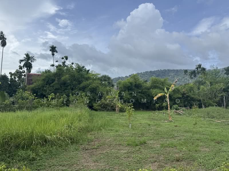 Land for Sale Paklok, Phuket, Pa Khlok, Thalang, Phuket, , 592 sqm, Land For Sale, by Orawan Nueangchompoo, 500191043 - DDproperty.com
