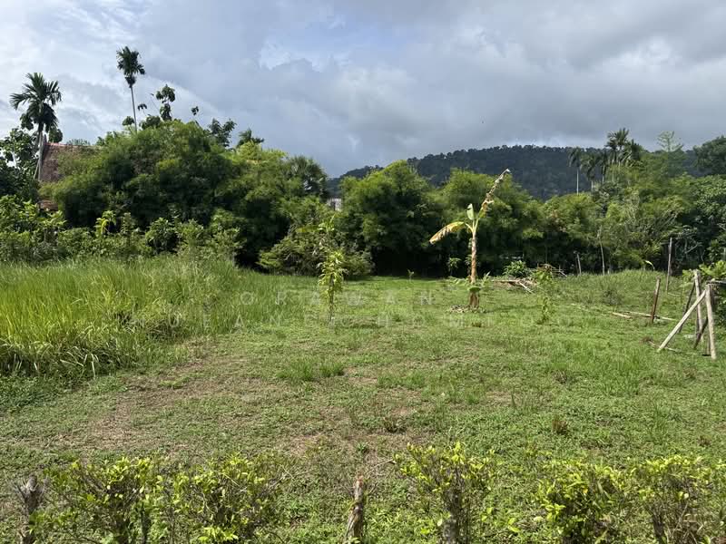 Land for Sale Paklok, Phuket, Pa Khlok, Thalang, Phuket, , 592 sqm, Land For Sale, by Orawan Nueangchompoo, 500191043 - DDproperty.com