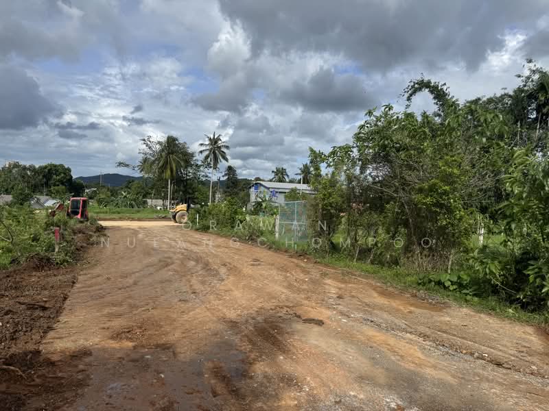 Land for Sale Paklok, Phuket, Pa Khlok, Thalang, Phuket, , 592 sqm, Land For Sale, by Orawan Nueangchompoo, 500191043 - DDproperty.com