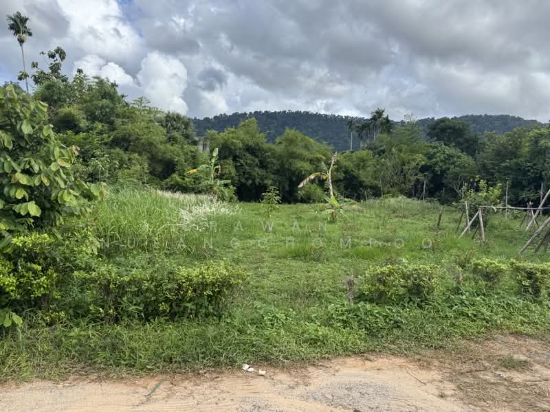 Land for Sale Paklok, Phuket, Pa Khlok, Thalang, Phuket, , 592 sqm, Land For Sale, by Orawan Nueangchompoo, 500191043 - DDproperty.com