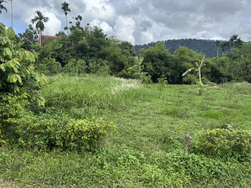 Land for Sale Paklok, Phuket, Pa Khlok, Thalang, Phuket, , 592 sqm, Land For Sale, by Orawan Nueangchompoo, 500191043 - DDproperty.com