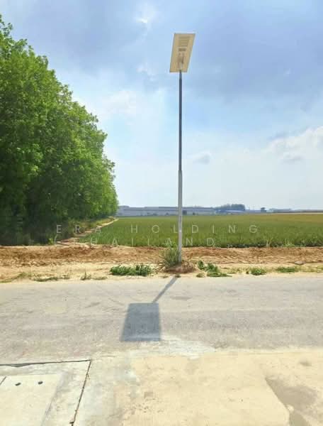 ติดนิครมอมตะซิตี้ ระยองผังสีม่วงเข้ม, Rayong, Mapyangphon, Pluak Daeng, Rayong, , 47,984 sqm, Land For Sale, by ERA Holding (Thailand) Co., Ltd., 500191055 - DDproperty.com