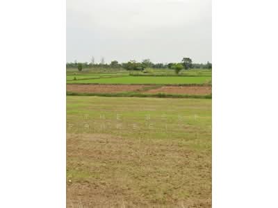 ขาย - ที่ดินประโคนชัย บุรีรัมย์, บุรีรัมย์