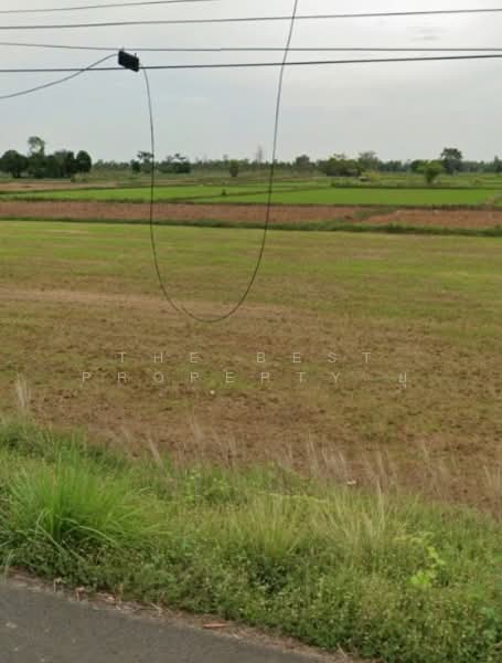 ขาย - ที่ดินประโคนชัย บุรีรัมย์, บุรีรัมย์