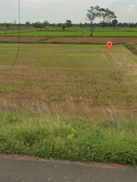 ขาย - ที่ดินประโคนชัย บุรีรัมย์, บุรีรัมย์