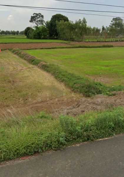 ที่ดินประโคนชัย บุรีรัมย์, Buri Ram, Ban Zai, Prakhon Chai, Buri Ram, , 6,400 sqm, Land For Sale, by The Best Property ยุ, 500191073 - DDproperty.com