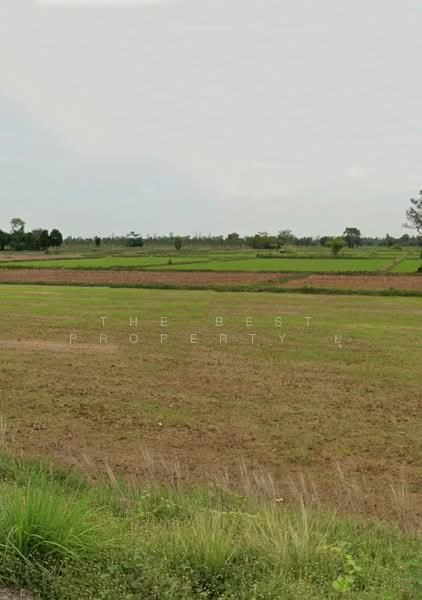 ขาย - ที่ดินประโคนชัย บุรีรัมย์, บุรีรัมย์