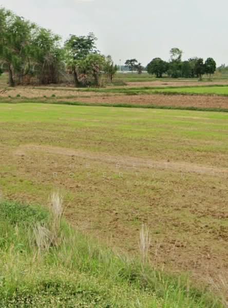 ที่ดินประโคนชัย บุรีรัมย์, Buri Ram, Ban Zai, Prakhon Chai, Buri Ram, , 6,400 sqm, Land For Sale, by The Best Property ยุ, 500191073 - DDproperty.com