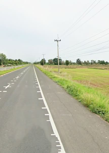 ที่ดินประโคนชัย บุรีรัมย์, Buri Ram, Ban Zai, Prakhon Chai, Buri Ram, , 6,400 sqm, Land For Sale, by The Best Property ยุ, 500191073 - DDproperty.com