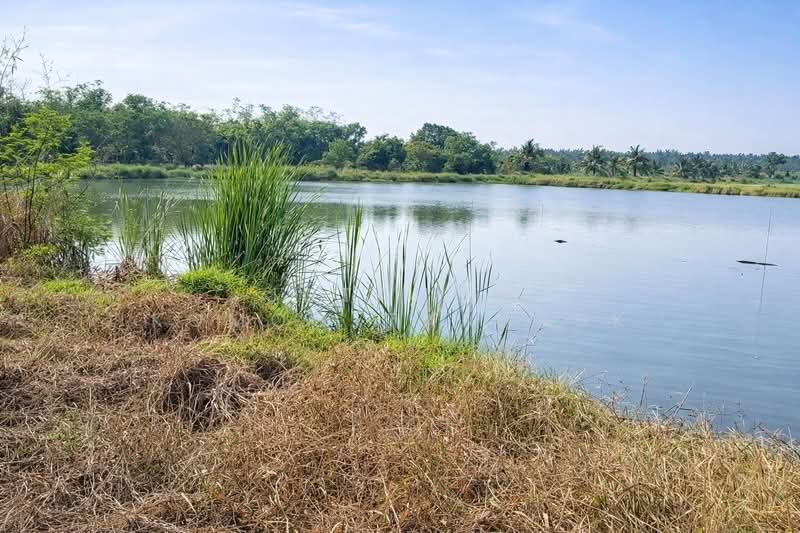 ขายที่ดินแปลงเดียว 2 โฉนด 250 ไร่ หนองหมู วิหารแดง สระบุรี เหมาะทำเกษตรและลงทุน, สระบุรี, หนองหมู, วิหารแดง, สระบุรี, 400,000 ตร.ม., ที่ดิน ขาย, โดย Jutanon Komoottanaruk, 500191095 - DDproperty.com