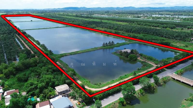 ขายที่ดิน 250 ไร่ ตำบลหนองหมู อำเภอวิหารแดง จังหวัดสระบุรี ที่ดินแปลงใหญ่ เหมาะทำการเกษตรและลงทุน, สระบุรี, หนองหมู, วิหารแดง, สระบุรี, 400,000 ตร.ม., ที่ดิน ขาย, โดย คุณพิมพ์, 500191095 - DDproperty.com