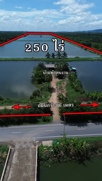 ขายที่ดิน 250 ไร่ ตำบลหนองหมู อำเภอวิหารแดง จังหวัดสระบุรี ที่ดินแปลงใหญ่ เหมาะทำการเกษตรและลงทุน, Saraburi, Nong Mu, Wihan Daeng, Saraburi, , 400,000 sqm, Land For Sale, by คุณพิมพ์, 500191095 - DDproperty.com