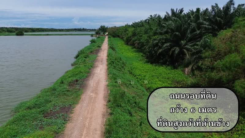 ขายที่ดิน 250 ไร่ ตำบลหนองหมู อำเภอวิหารแดง จังหวัดสระบุรี ที่ดินแปลงใหญ่ เหมาะทำการเกษตรและลงทุน, สระบุรี, หนองหมู, วิหารแดง, สระบุรี, 400,000 ตร.ม., ที่ดิน ขาย, โดย คุณพิมพ์, 500191095 - DDproperty.com