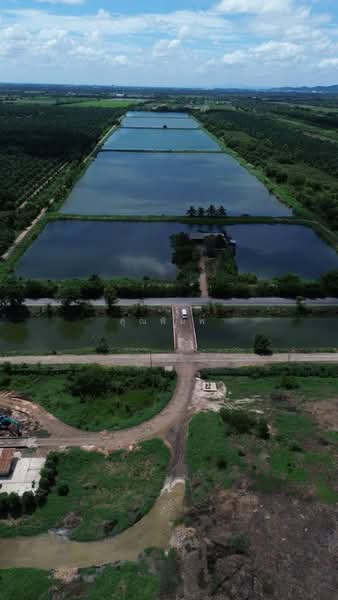 ขายที่ดิน 250 ไร่ ตำบลหนองหมู อำเภอวิหารแดง จังหวัดสระบุรี ที่ดินแปลงใหญ่ เหมาะทำการเกษตรและลงทุน, สระบุรี, หนองหมู, วิหารแดง, สระบุรี, 400,000 ตร.ม., ที่ดิน ขาย, โดย คุณพิมพ์, 500191095 - DDproperty.com