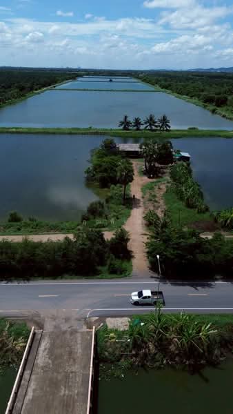 ขายที่ดิน 250 ไร่ ตำบลหนองหมู อำเภอวิหารแดง จังหวัดสระบุรี ที่ดินแปลงใหญ่ เหมาะทำการเกษตรและลงทุน, Saraburi, Nong Mu, Wihan Daeng, Saraburi, , 400,000 sqm, Land For Sale, by คุณพิมพ์, 500191095 - DDproperty.com
