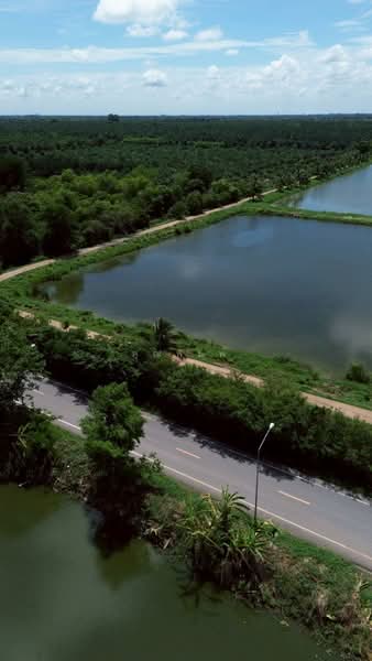 ขายที่ดิน 250 ไร่ ตำบลหนองหมู อำเภอวิหารแดง จังหวัดสระบุรี ที่ดินแปลงใหญ่ เหมาะทำการเกษตรและลงทุน, Saraburi, Nong Mu, Wihan Daeng, Saraburi, , 400,000 sqm, Land For Sale, by คุณพิมพ์, 500191095 - DDproperty.com