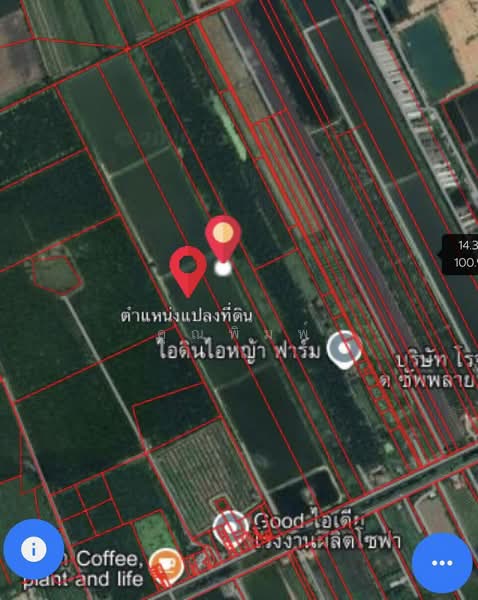 ขายที่ดิน 250 ไร่ ตำบลหนองหมู อำเภอวิหารแดง จังหวัดสระบุรี ที่ดินแปลงใหญ่ เหมาะทำการเกษตรและลงทุน, สระบุรี, หนองหมู, วิหารแดง, สระบุรี, 400,000 ตร.ม., ที่ดิน ขาย, โดย คุณพิมพ์, 500191095 - DDproperty.com