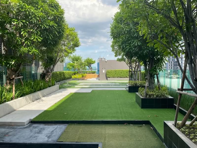 Rhythm Sukhumvit 36-38, Bangkok, 55 Soi Sukhumvit 36, Sukhumvit Road, Phra Kanong, Khlong Toei, Bangkok, Studio, 24 sqm, Condo For Rent, by Thida Thewinram, 500191145 - DDproperty.com