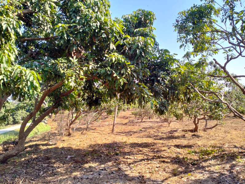 ที่ดินจอมทอง เชียงใหม่, Chiang Mai, Doi Kaeo, Chom Thong, Chiang Mai, , 2,584 sqm, Land For Sale, by The Best Property หาญ, 500191172 - DDproperty.com