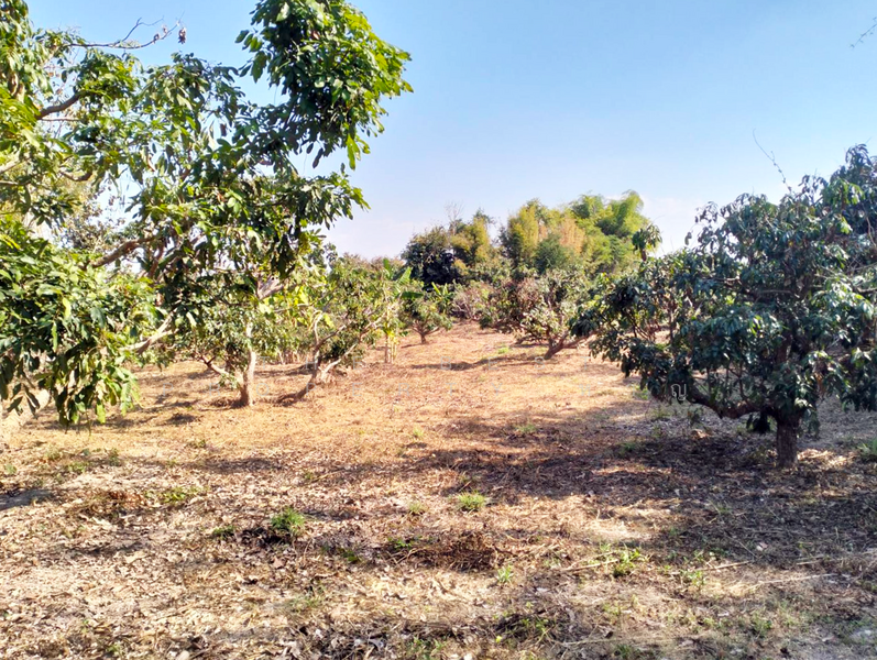 ที่ดินจอมทอง เชียงใหม่, Chiang Mai, Doi Kaeo, Chom Thong, Chiang Mai, , 2,584 sqm, Land For Sale, by The Best Property หาญ, 500191172 - DDproperty.com