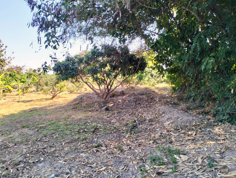 ที่ดินจอมทอง เชียงใหม่, Chiang Mai, Doi Kaeo, Chom Thong, Chiang Mai, , 2,584 sqm, Land For Sale, by The Best Property หาญ, 500191172 - DDproperty.com