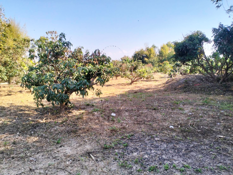 ที่ดินจอมทอง เชียงใหม่, Chiang Mai, Doi Kaeo, Chom Thong, Chiang Mai, , 2,584 sqm, Land For Sale, by The Best Property หาญ, 500191172 - DDproperty.com