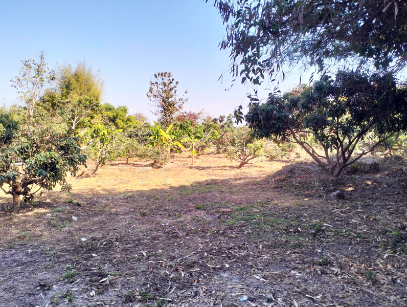 ที่ดินจอมทอง เชียงใหม่, Chiang Mai, Doi Kaeo, Chom Thong, Chiang Mai, , 2,584 sqm, Land For Sale, by The Best Property หาญ, 500191172 - DDproperty.com