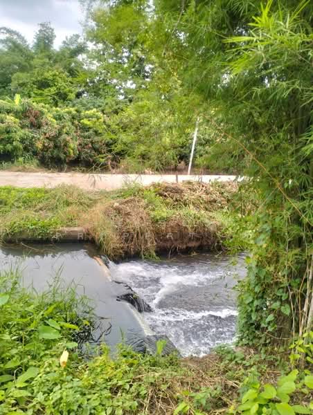 ที่ดินจอมทอง เชียงใหม่, Chiang Mai, Doi Kaeo, Chom Thong, Chiang Mai, , 2,584 sqm, Land For Sale, by The Best Property หาญ, 500191172 - DDproperty.com