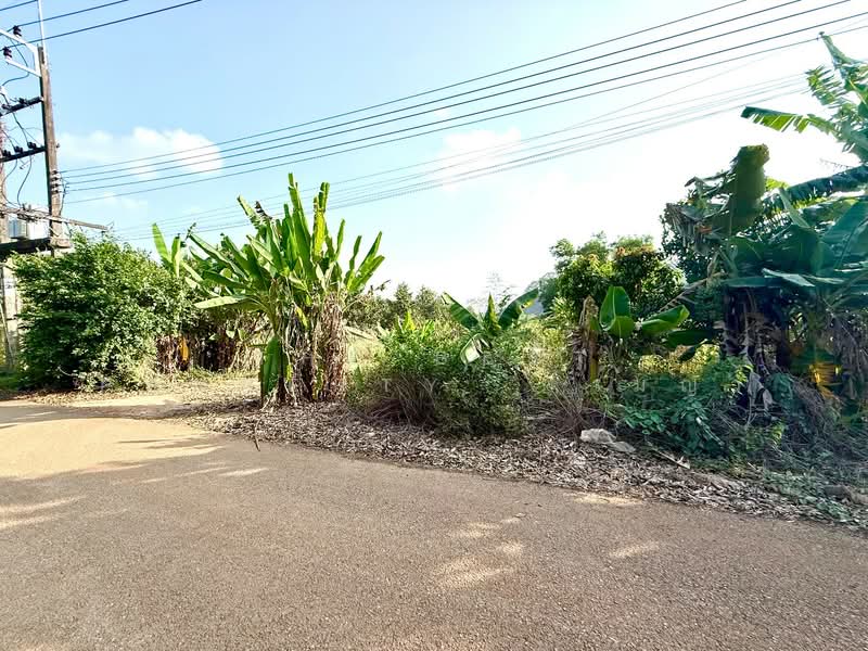 ที่ดินท่าใหม่ จันทบุรี, Chanthaburi, Khao Wua, Tha Mai, Chanthaburi, , 2,316 sqm, Land For Sale, by The Best Property   เมญ่า, 500191228 - DDproperty.com