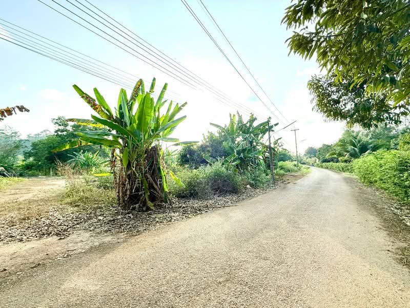 ที่ดินท่าใหม่ จันทบุรี, จันทบุรี, เขาวัว, ท่าใหม่, จันทบุรี, 2,316 ตร.ม., ที่ดิน ขาย, โดย The Best Property   เมญ่า, 500191228 - DDproperty.com