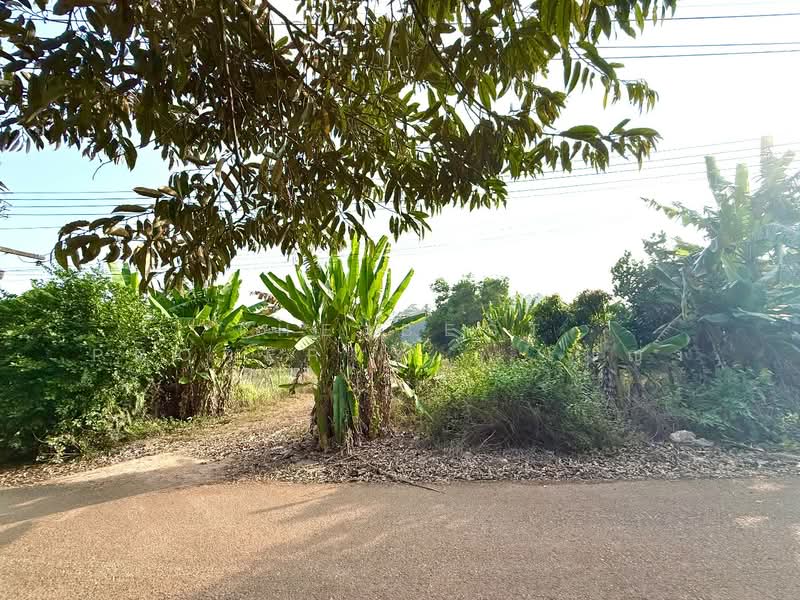 ที่ดินท่าใหม่ จันทบุรี, Chanthaburi, Khao Wua, Tha Mai, Chanthaburi, , 2,316 sqm, Land For Sale, by The Best Property   เมญ่า, 500191228 - DDproperty.com
