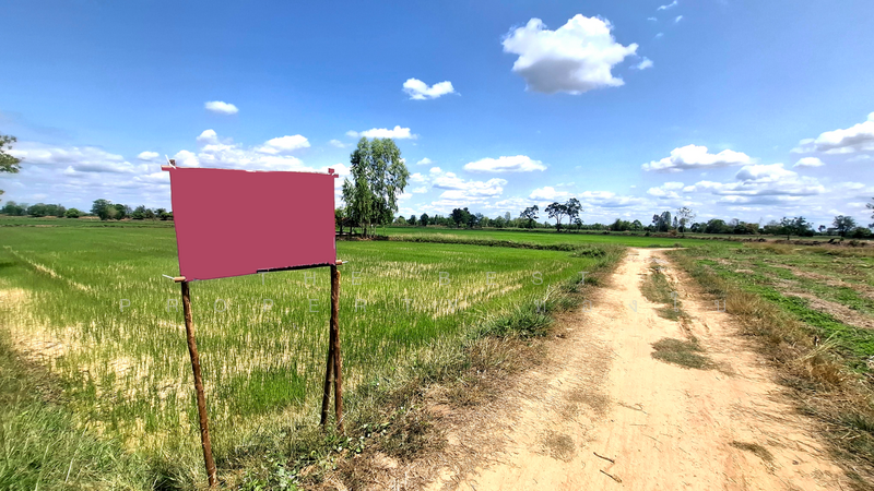 ขาย - ที่ดินจังหาร ร้อยเอ็ด, ร้อยเอ็ด