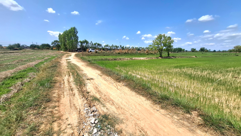 ขาย - ที่ดินจังหาร ร้อยเอ็ด, ร้อยเอ็ด