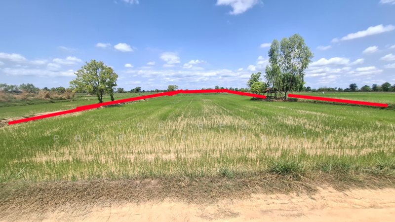 ที่ดินจังหาร ร้อยเอ็ด, Roi Et, Pa Fa, Chang Han, Roi Et, , 7,096 sqm, Land For Sale, by The Best Property ทองใบ, 500191269 - DDproperty.com