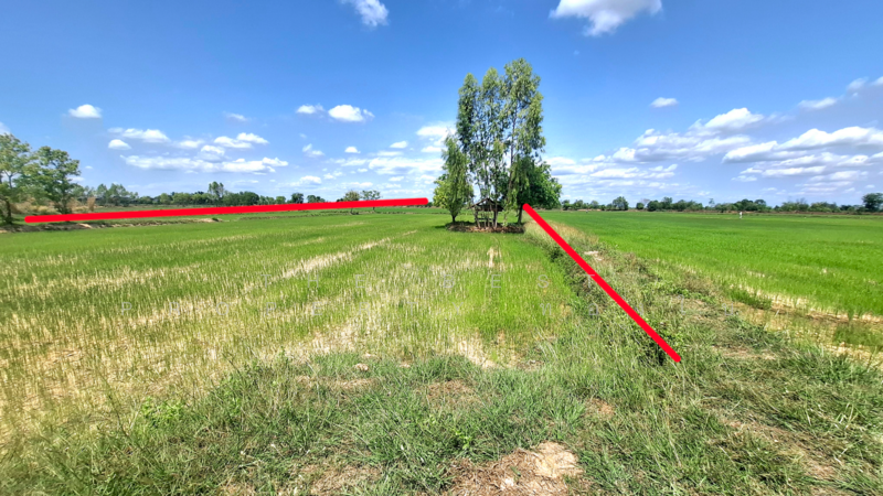 ที่ดินจังหาร ร้อยเอ็ด, Roi Et, Pa Fa, Chang Han, Roi Et, , 7,096 sqm, Land For Sale, by The Best Property ทองใบ, 500191269 - DDproperty.com