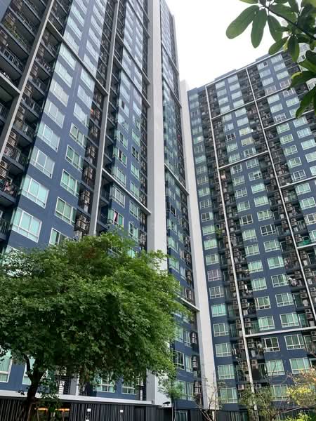 The Base Sukhumvit 77, Bangkok, 289 Sukhumvit 77 Road, Phra Kanong Nua, Watthana, Bangkok, 1 Bedroom, 30 sqm, Condo For Sale, by Ratchaneewan Maneerangsrisuwan, 500191362 - DDproperty.com